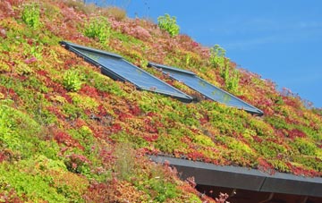 Hilperton living roof systems