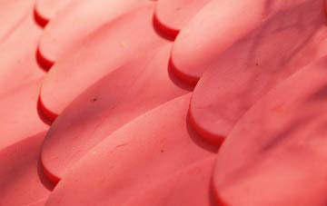 Hilperton plastic roof costs