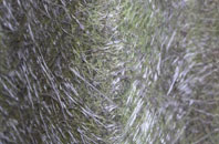 Hilperton fibreglass roof work